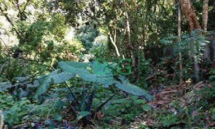 Terreno à venda, 1 m² por r$ 186.000,00 - jardim da glória - cotia/sp