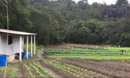 Sitio em Piracaia com 8.000m²  R$ 240.000,00 imóvel com plantação, edificação simples não finalizada apenas 15 km do centro.