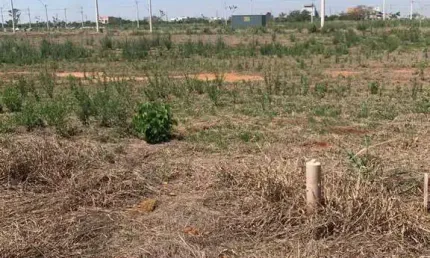Terreno à venda na Rua Apparecida Zaramella Ferrareze, Jardim Florida, Hortolândia