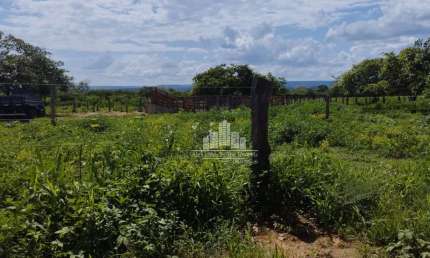 Chácara / sítio à venda na Av. Claudiomiro Vizoto, 779, Centro, Alvorada do Gurguéia por R$ 6.000.000