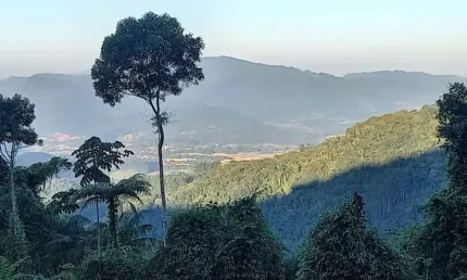 Chácara / sítio à venda na alto são bernardo, zona rural, rio dos cedros por r$ 300.000