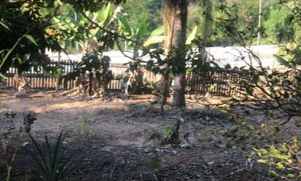 Área à venda, 1100 m² por R$ 150.000,00 - Colinas de Paraibuna  - Paraibuna/SP