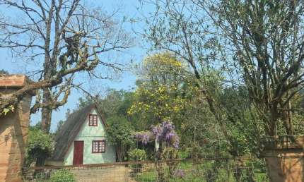 Fazenda à venda no Centro, Angelina 