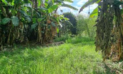 Área à venda, 11553 m² por R$ 800.000,00 - Cotia - Cotia/SP