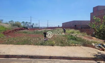 Terreno à venda, 250 m² por R$ 250.000,00 - Reserva Centenária - Santa Bárbara D'Oeste/SP