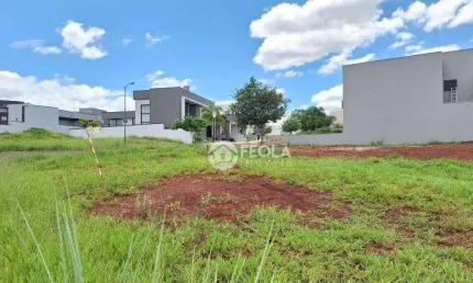 Terreno à venda, 342 m² por R$ 696.000,00 - Jardim Pau Brasil - Americana/SP
