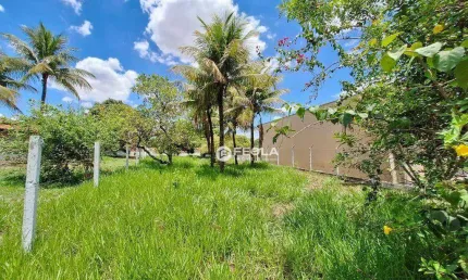 Terreno à venda, 600 m² por R$ 350.000,00 - Bosque dos Ipês - Americana/SP