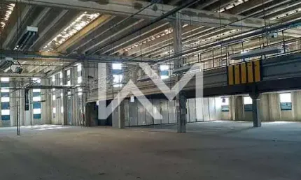 Galpão para Venda e Locação: 12.281m² de Área Total e 11.000m² de Área Construída