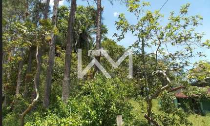 Sítio à venda, Bairro cachoeirinha, Juquiá, SP com 18,9 hectáres (250.000 metros quadrados )