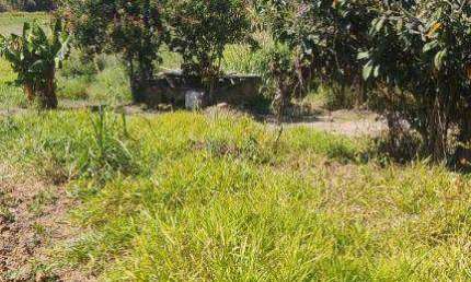 Terreno à venda, 500 m² por R$ 50.000 - Tataúba - Caçapava/SP