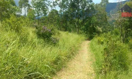 Terreno à venda, 3600 m² por R$ 195.000,00 - Luiz Fagundes - Mairiporã/SP
