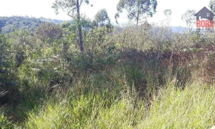 Terreno à venda em Lavras, Mairiporã 