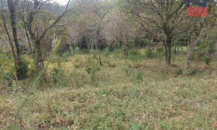 Terreno à venda, 1770 m² por R$ 200.000,00 - Olho D'Água - Mairiporã/SP