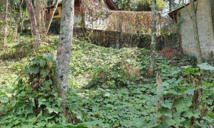 Terreno à venda, 525 m² por R$ 100.000,00 - Hortolândia - Mairiporã/SP