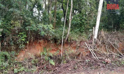 Terreno à venda, 1250 m² por r$ 200.000,00 - parque germânia - mairiporã/sp