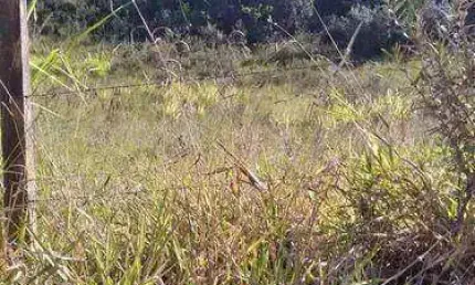 Terreno à venda, 1000 m² - Capoavinha - Mairiporã/SP