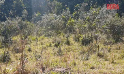 Terreno à venda, 500 m² por R$ 65.000 - Capoavinha - Mairiporã/SP