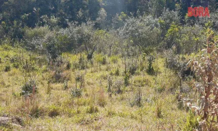Terreno à venda, 500 m² por R$ 65.000 - Capoavinha - Mairiporã/SP