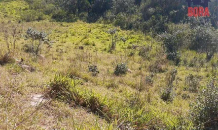 Terreno à venda, 500 m² por r$ 65.000 - capoavinha - mairiporã/sp