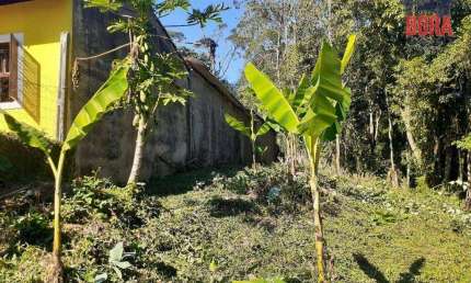 Terreno à venda, 1000 m² por R$ 100.000,00 - Luiz Fagundes - Mairiporã/SP