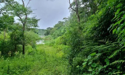 Terreno à venda, 13845 m² por R$ 1.300.000 - Cacéia - Mairiporã/SP