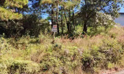 Terreno à venda, 500 m² por r$ 180.000 - corumbá - mairiporã/sp
