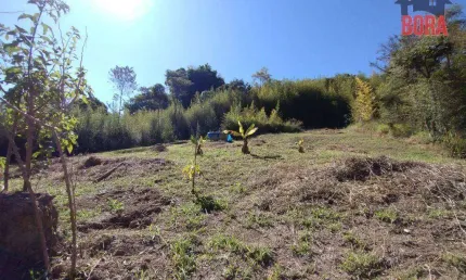 Terreno à venda, 6000 m² por R$ 400.000 - Rio Acima - Mairiporã/SP