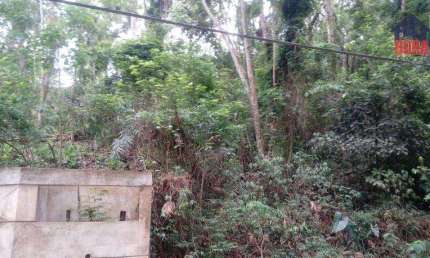 Terreno à venda, 1190 m² por R$ 100.000 - Terra Preta - Mairiporã/SP