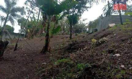 Terreno à venda, 1500 m² por R$ 95.000,00 - Terra Preta - Mairiporã/SP
