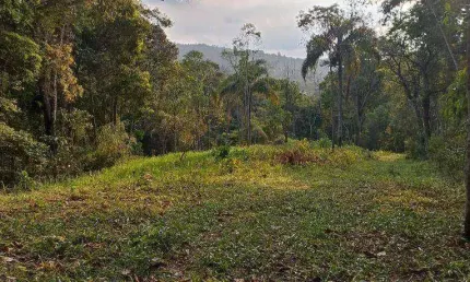 Terreno à venda, 6700 m² por R$ 250.000,00 - Centro - Mairiporã/SP