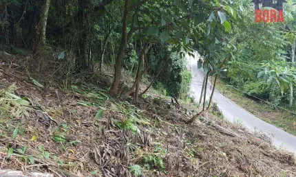 Terreno à venda, 490 m² por R$ 99.000,00 - Samambaia - Mairiporã/SP