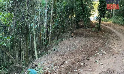 Terreno à venda, 518 m² por R$ 91.000,00 - Samambaia - Mairiporã/SP