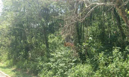 Terreno à venda, 2800 m² por r$ 260.000,00 - parque germânia - mairiporã/sp