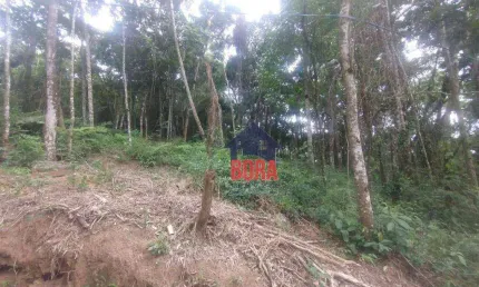 Terreno à venda, 1000 m² por R$ 100.000 - Corumbá - Mairiporã/SP