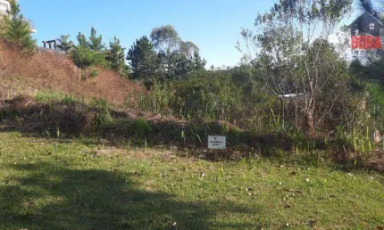 Terreno à venda, 1336 m² por R$ 351.697,45 - Mairiporã - Mairiporã/SP
