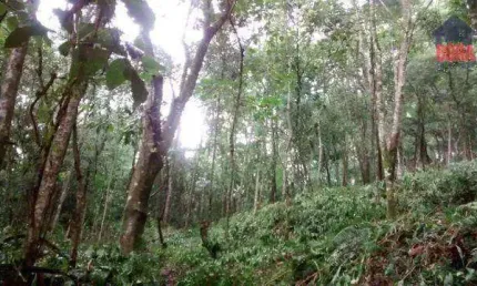 Terreno à venda, 2790 m² por R$ 200.000,00 - Capoavinha - Mairiporã/SP