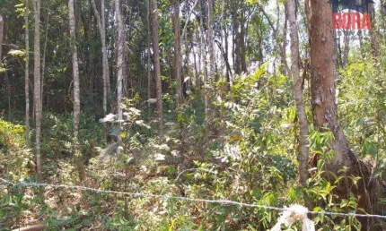 Terreno à venda, 1325 m² por R$ 85.000,00 - Rio Acima - Mairiporã/SP