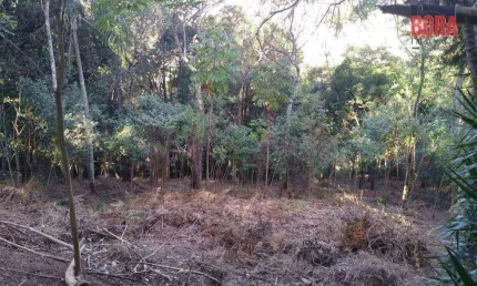 Terreno à venda, 5000 m² por r$ 150.000,00 - mato dentro - mairiporã/sp