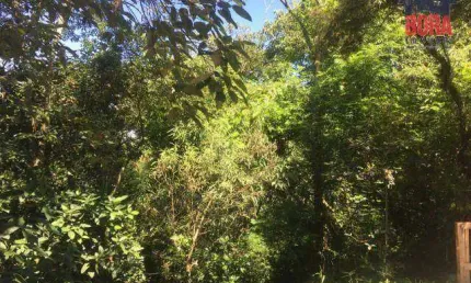 Terreno à venda, 400 m² por R$ 60.000,00 - Capoavinha - Mairiporã/SP