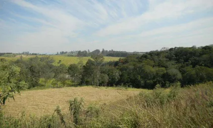 Terreno à venda, 5000 m² por R$ 550.000,00 - Ivoturucaia - Jundiaí/SP