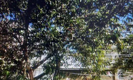 Terreno à venda na Rua Pinheiro Guimarães, Parque da Vila Prudente, São Paulo