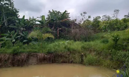 Sítio formado e produzindo, com 3 dormitórios à venda, 96800 m² por r$ 450.000 - centro - sete barras/sp