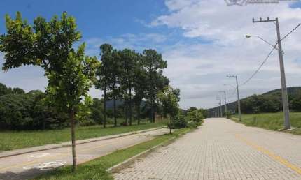 Terreno para Venda em Florianópolis, São João do Rio Vermelho