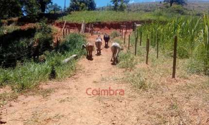 Fazenda à venda no Centro, Governador Valadares 