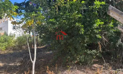 Terreno à venda no Castelo, Belo Horizonte  por R$ 1.400.000
