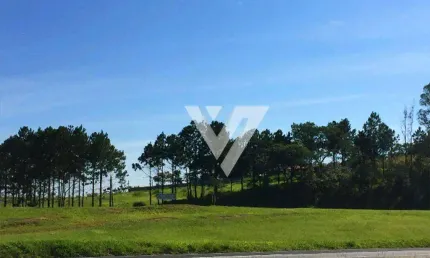 Área, 10900 m² - venda por R$ 6.900.000,00 ou aluguel por R$ 10.000,00/mês - Itavuvu - Sorocaba/SP