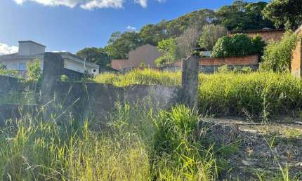 Terreno a venda no bairro Joao Costa - Joinville/SC.