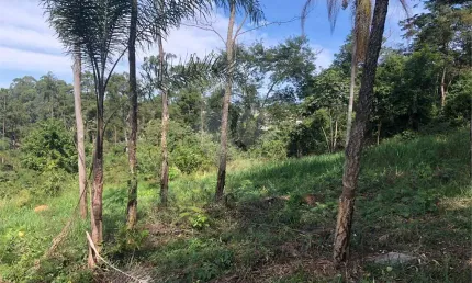 Terreno à venda na Jardineiro, --, Centro, Bom Jesus dos Perdões