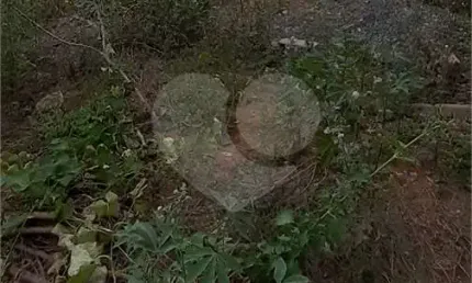 Terreno à venda na Canela/ Rua Alecrim, --, Centro, Bom Jesus dos Perdões