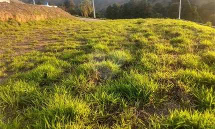 Terreno em condomínio fechado à venda na Mathias Lopes, --, Centro, Nazaré Paulista